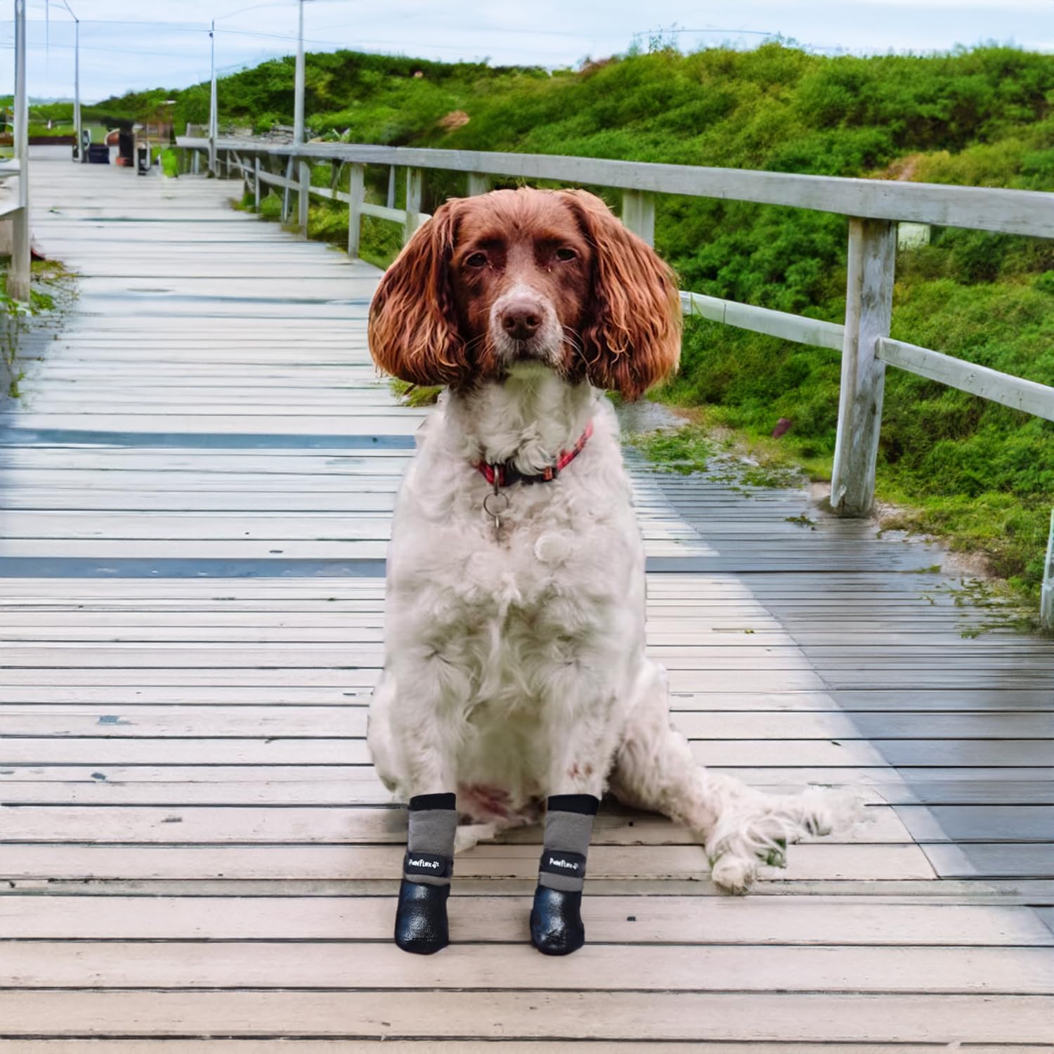 PawFlex soft indoor-outdoor boots for comfortable all-day wear.