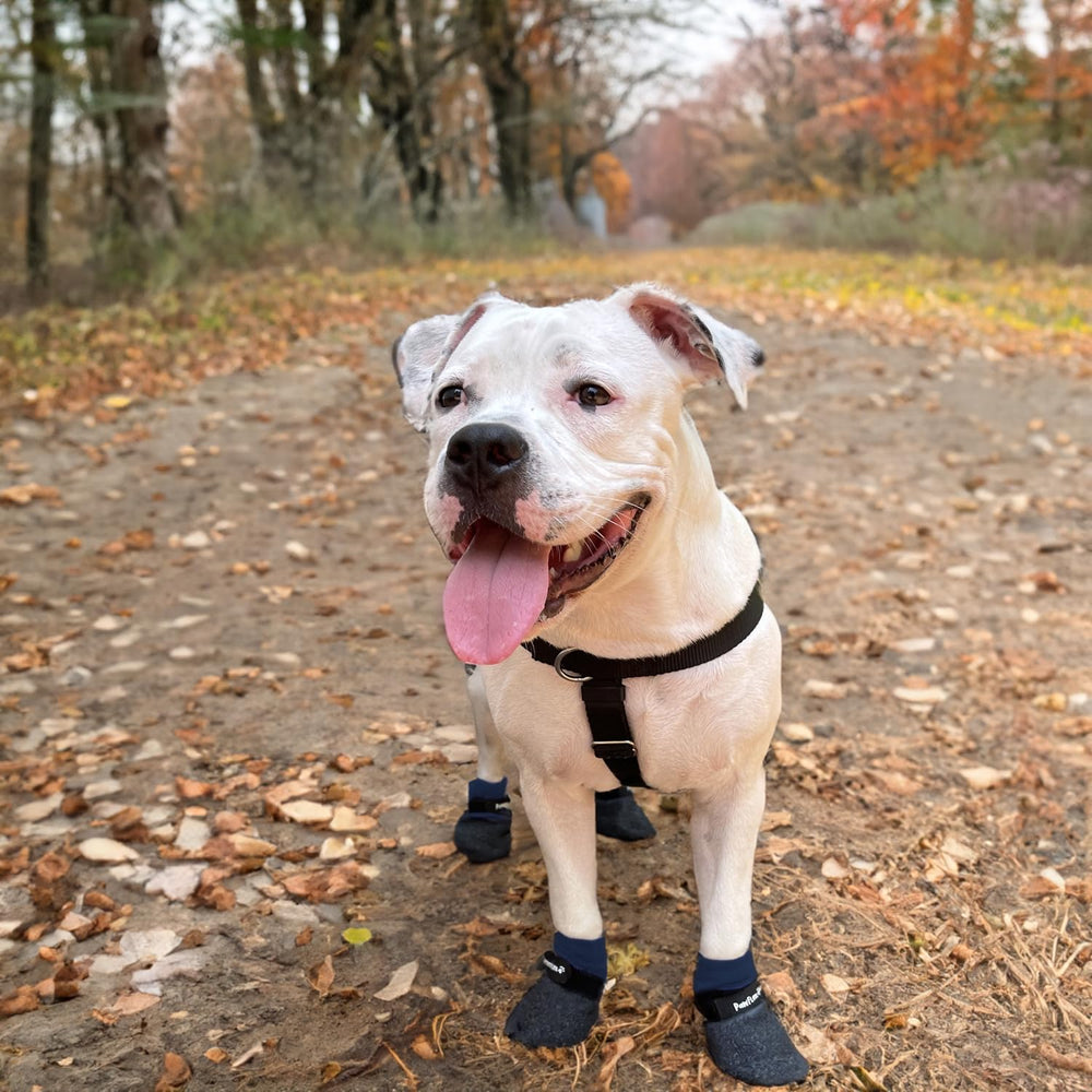 PawFlex waterproof rubber bottom close-up keeps paws dry on wet surfaces