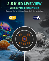 Pawfly 2.5K HD live view with night vision monitors fish day and night