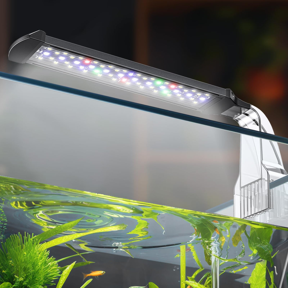 Pawfly 8W aquarium LED light closeup shows vibrant full-spectrum colors