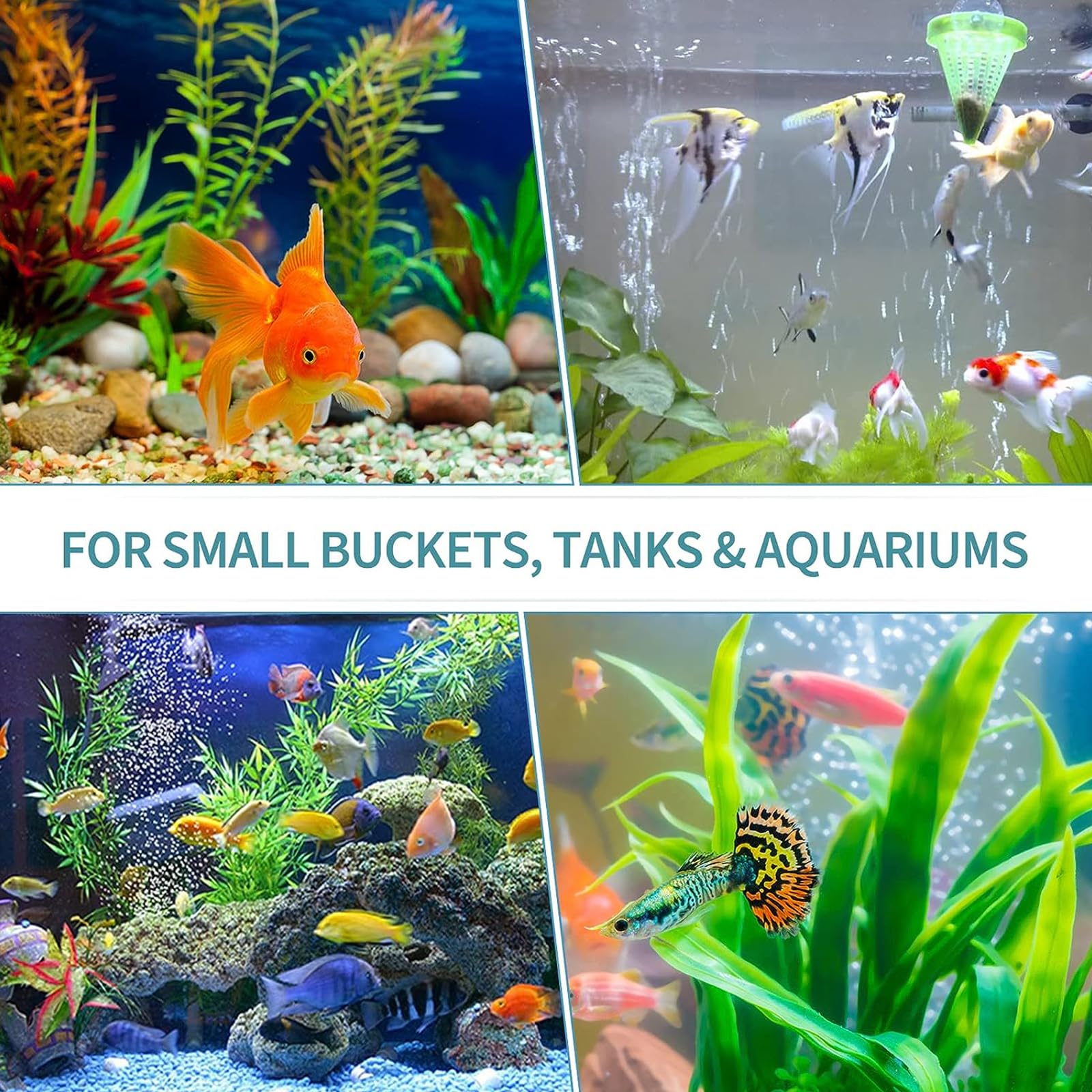 Pawfly 50-pack provides reliable aeration options for multiple tanks.