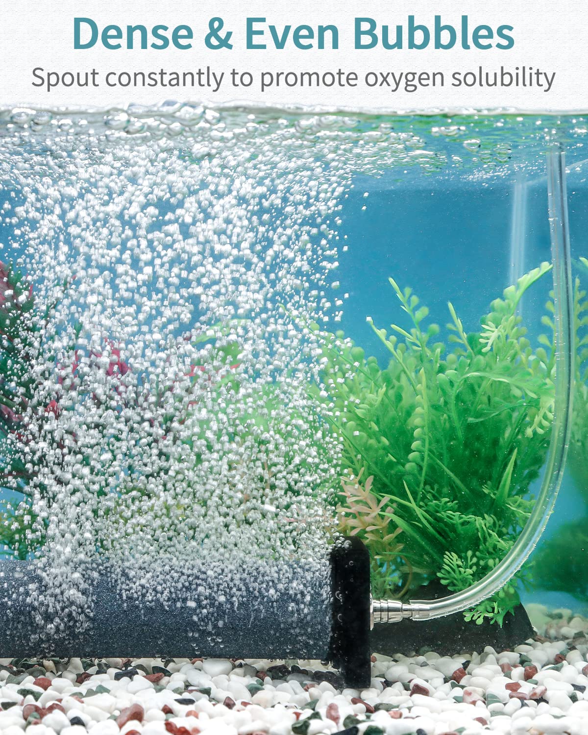 Pawfly air stone cylinder in water demonstrates stable position with end holders