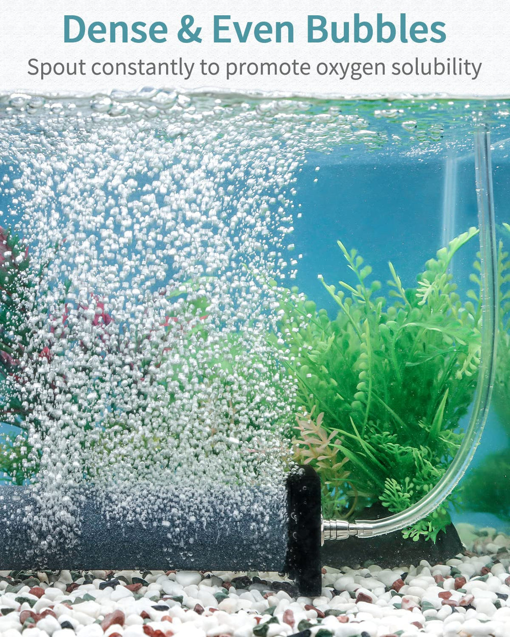Pawfly air stone cylinder in water demonstrates stable position with end holders