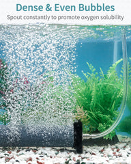 Pawfly air stone cylinder in water demonstrates stable position with end holders