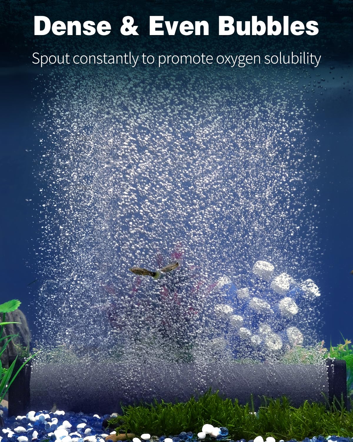 Pawfly air stone with dense micro holes for even bubbles