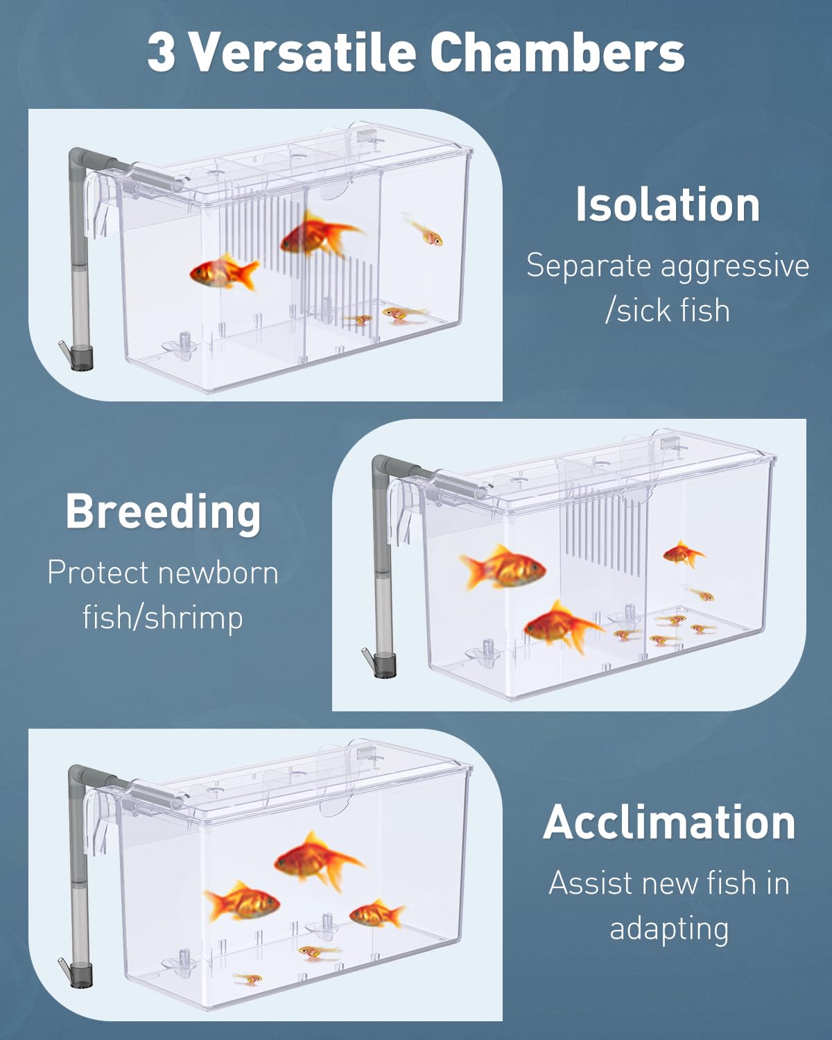 Pawfly breeding box with hooks and mounting accessories for easy cleaning