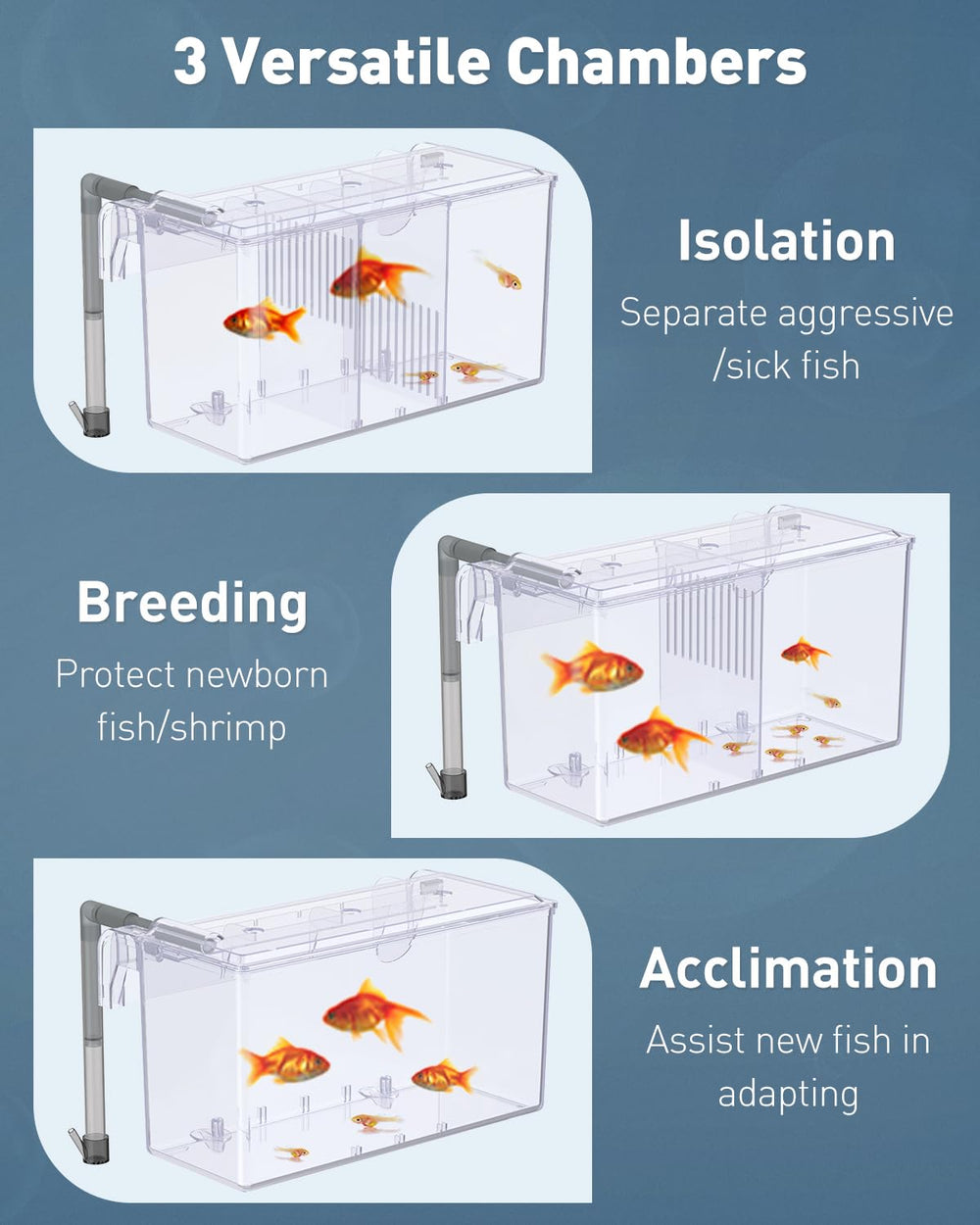 Pawfly breeding box with hooks and mounting accessories for easy cleaning