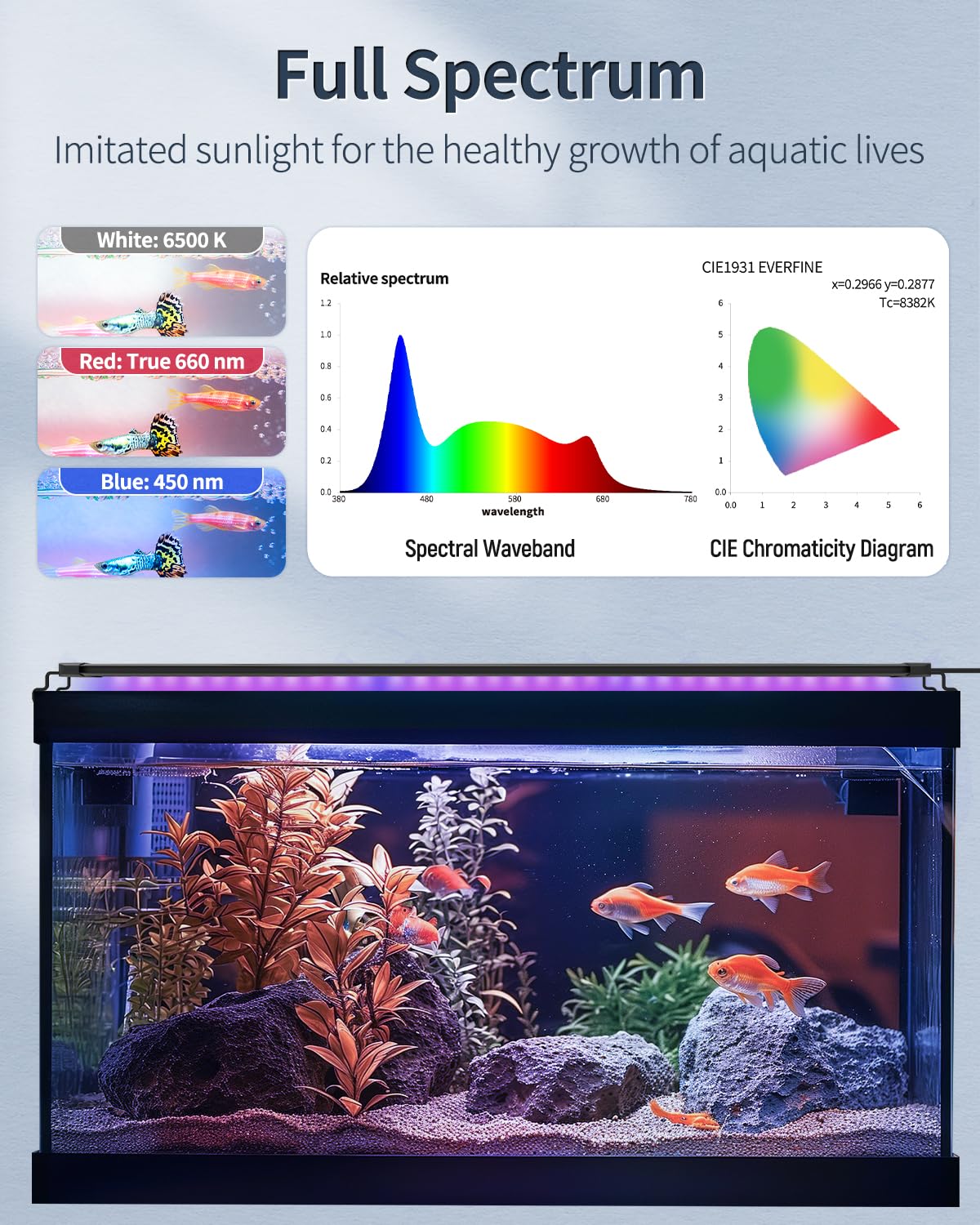 Pawfly daytime mode delivers balanced brightness for active daytime viewing.