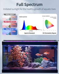 Pawfly daytime mode delivers balanced brightness for active daytime viewing.