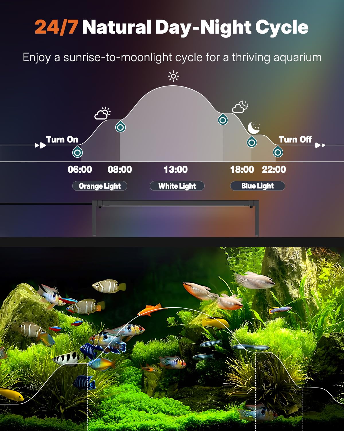 Pawfly Bluetooth app control panel enables easy remote brightness and color changes.