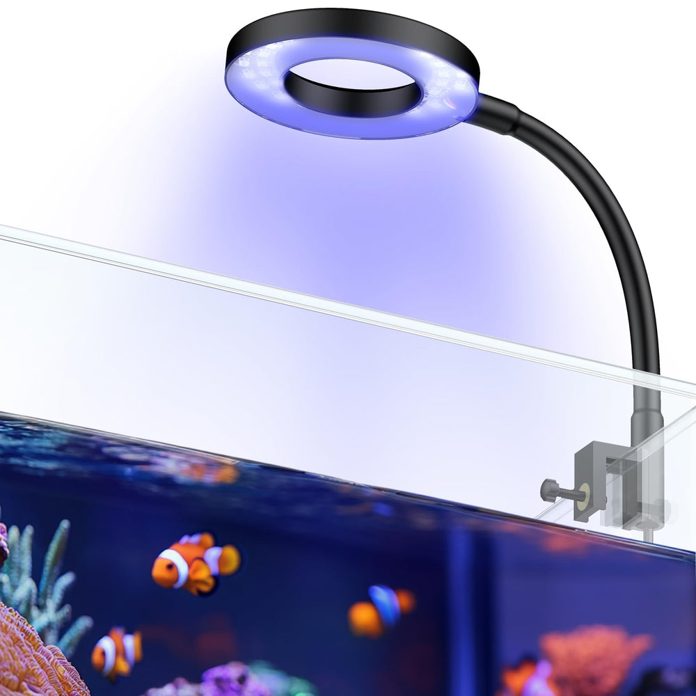 Pawfly clip-on aquarium light shows lively coral color with adjustable angle.