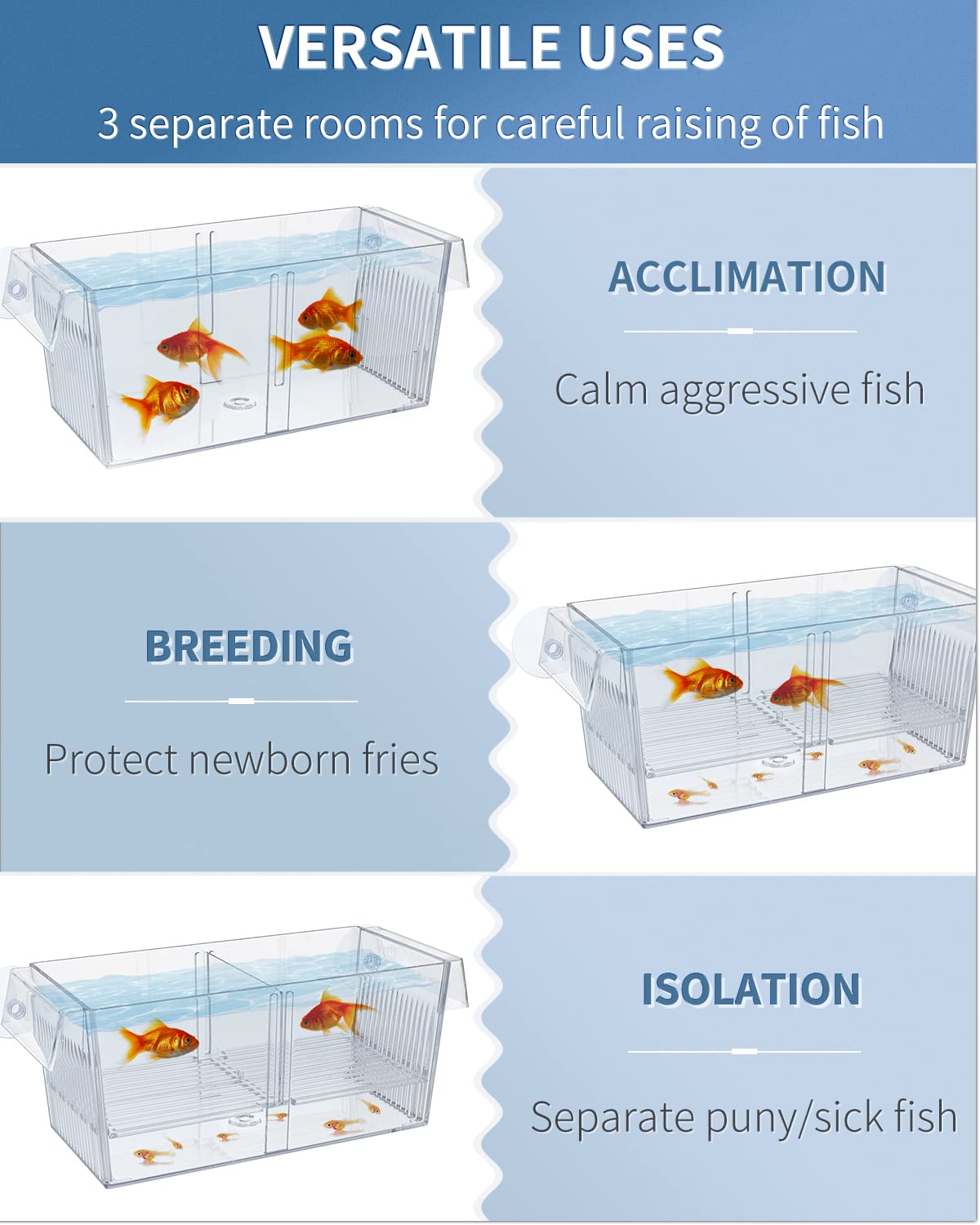 Pawfly three-room setup demonstrates modular isolation for care.