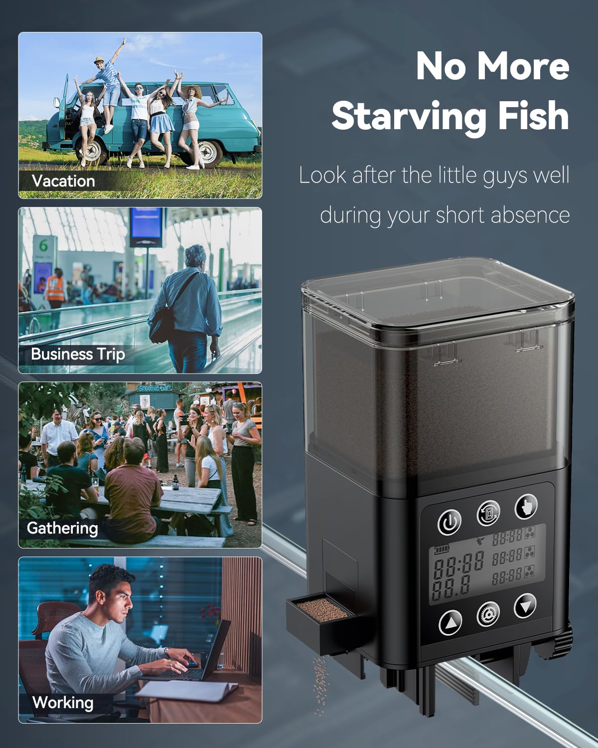 Pawfly compact design beside aquarium complements setup and saves space
