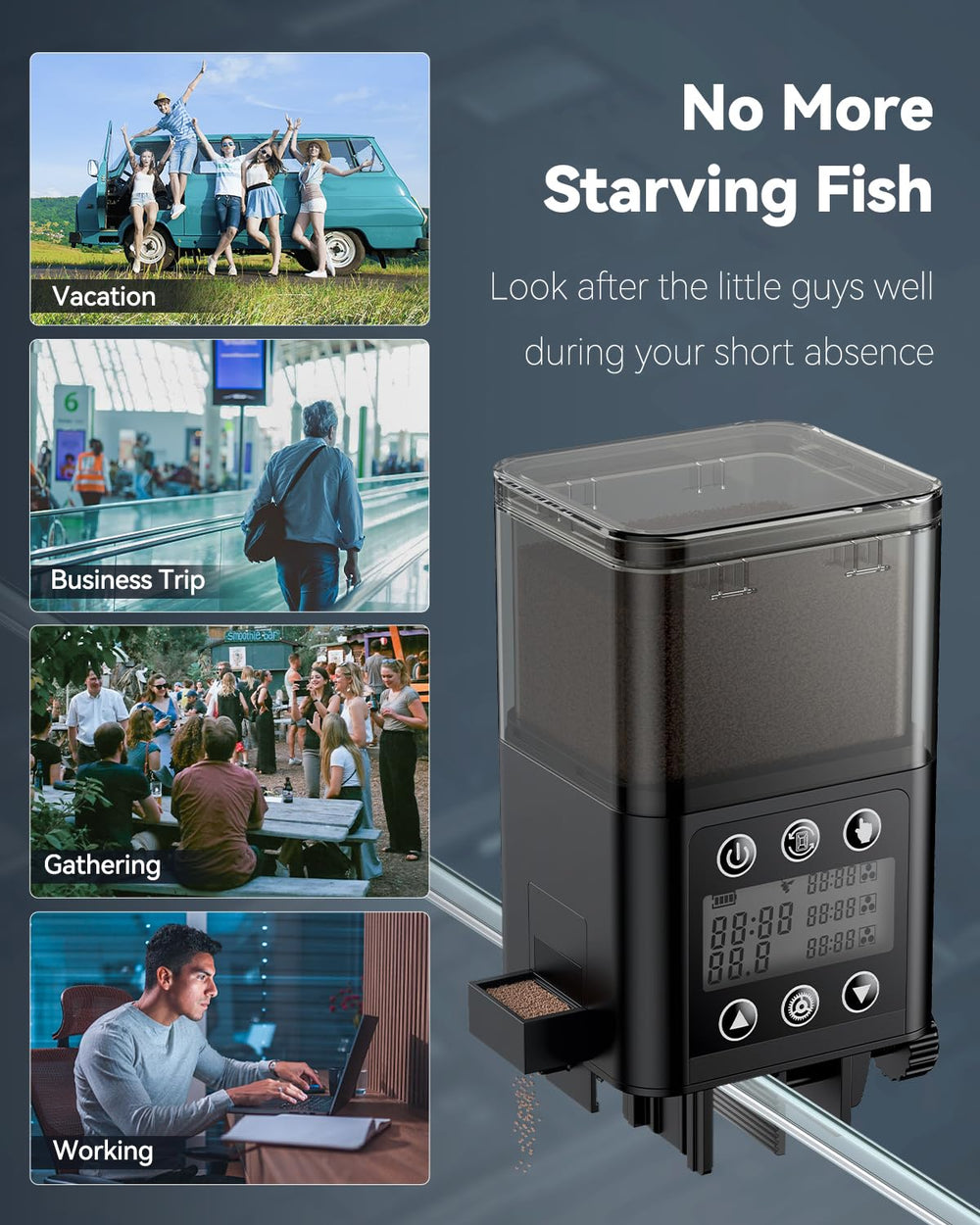 Pawfly compact design beside aquarium complements setup and saves space