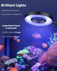 Pawfly dimmable lighting offers six levels for day and night viewing.