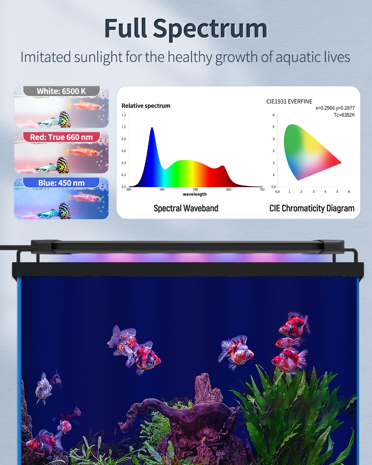 Modo amanecer y atardecer Pawfly para ritmos naturales en acuario.