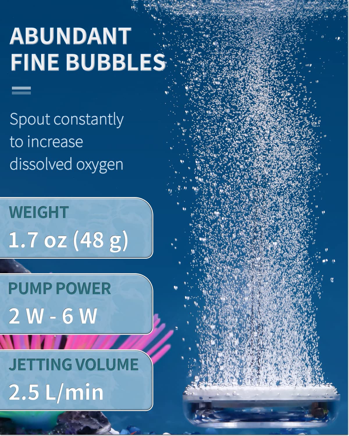 Pawfly en acuario pequeño, piedra de aire disc generando burbujas constantes para oxigenación.