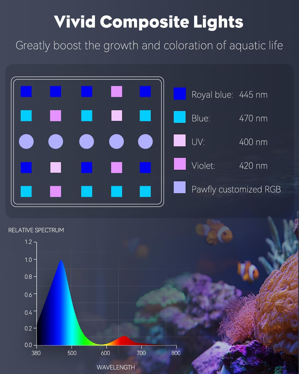 Pawfly reef-spectrum blue-violet close-up showing coral-friendly spectrum.