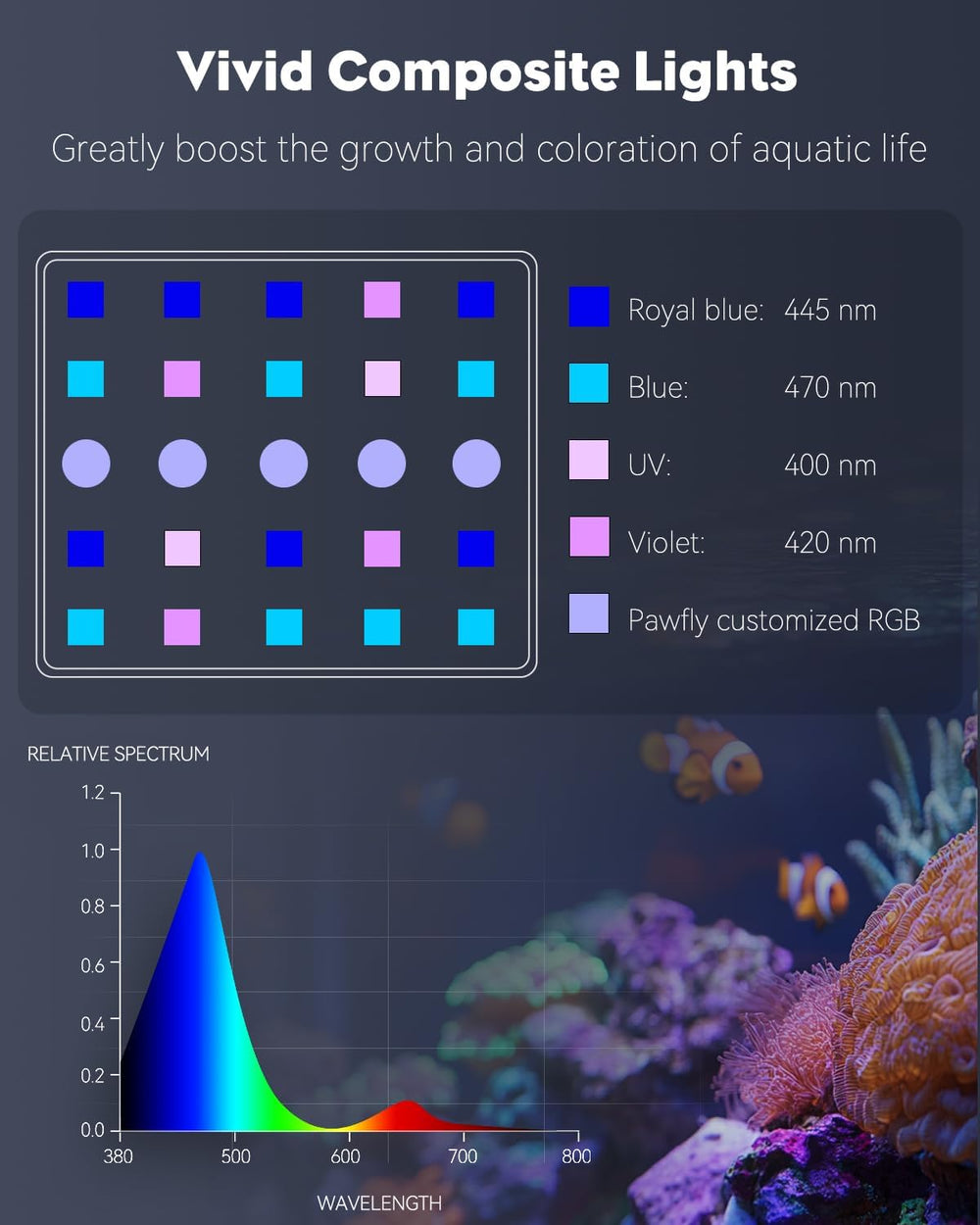 Pawfly reef-spectrum blue-violet close-up showing coral-friendly spectrum.