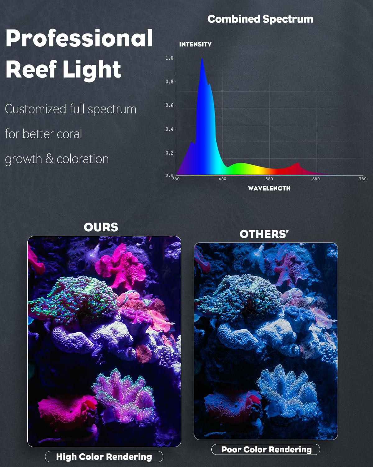 Pawfly saltwater light auto timer supports consistent 8/10/12 hour schedules.