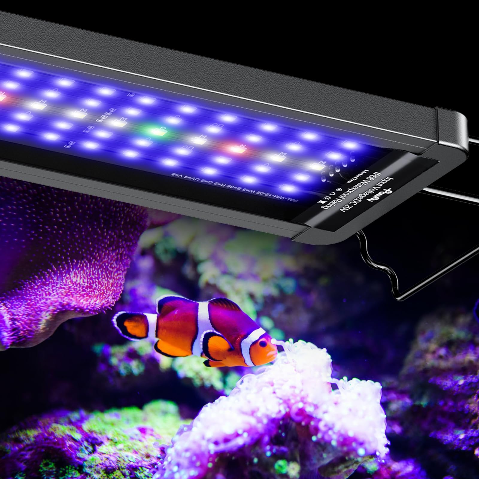 Pawfly saltwater light full-spectrum front view enhances coral color and promotes healthy growth.