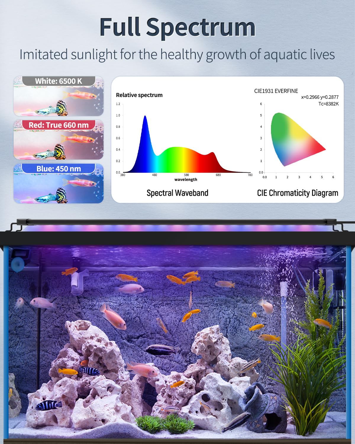 Pawfly sunrise and sunset mode demonstrating natural lighting cycle for fish