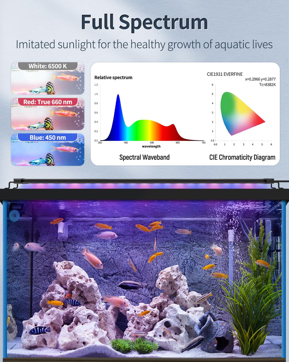 Pawfly sunrise and sunset mode demonstrating natural lighting cycle for fish