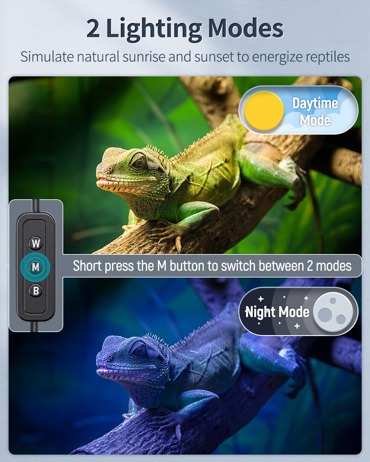 Pawfly terrarium light displaying full spectrum 6500K blue and red lights for vibrant visuals
