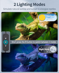 Pawfly terrarium light displaying full spectrum 6500K blue and red lights for vibrant visuals
