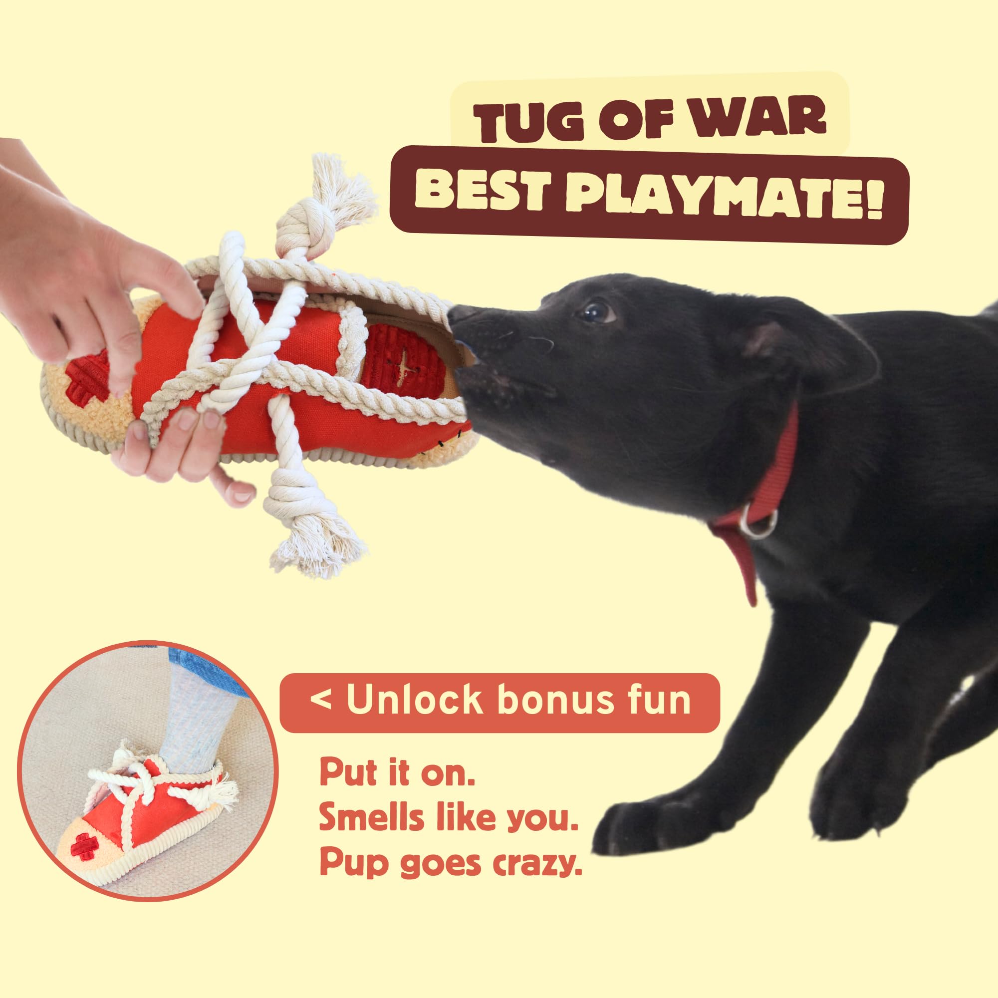 Pawfoo Lab hidden-treat-pocket showcases mental challenge and reward during sniff-and-find sessions