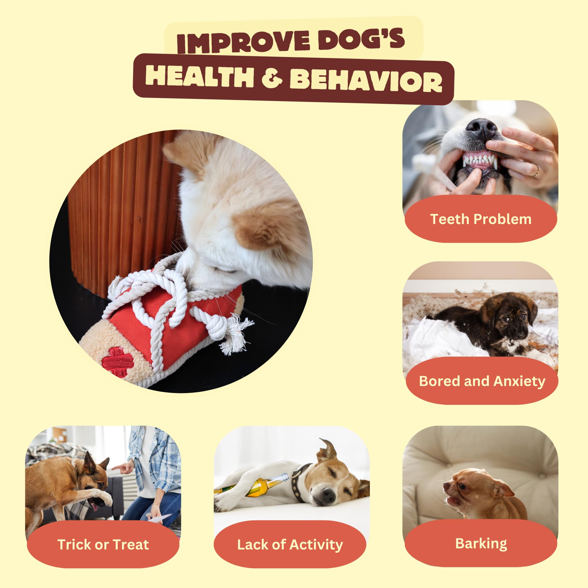 Pawfoo Lab interactive-dog-game-play demonstrates tug, fetch, and treat-hunt versatility