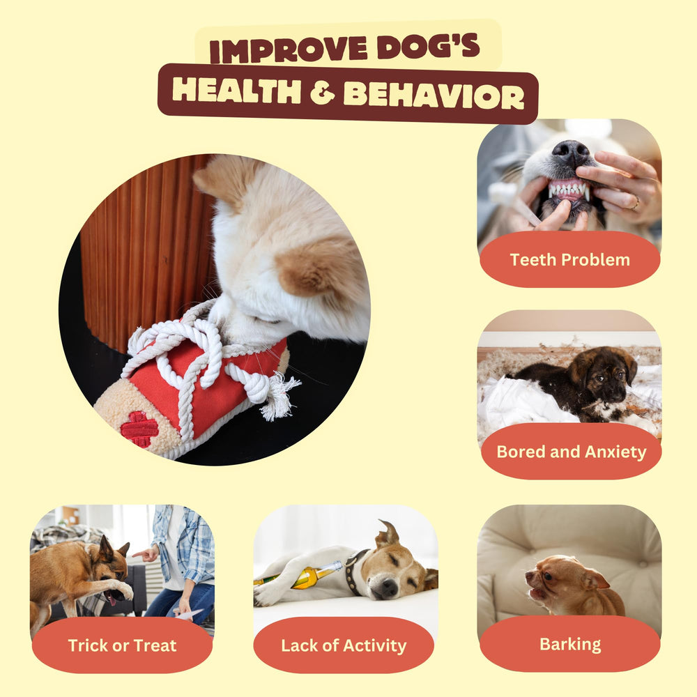 Pawfoo Lab interactive-dog-game-play demonstrates tug, fetch, and treat-hunt versatility