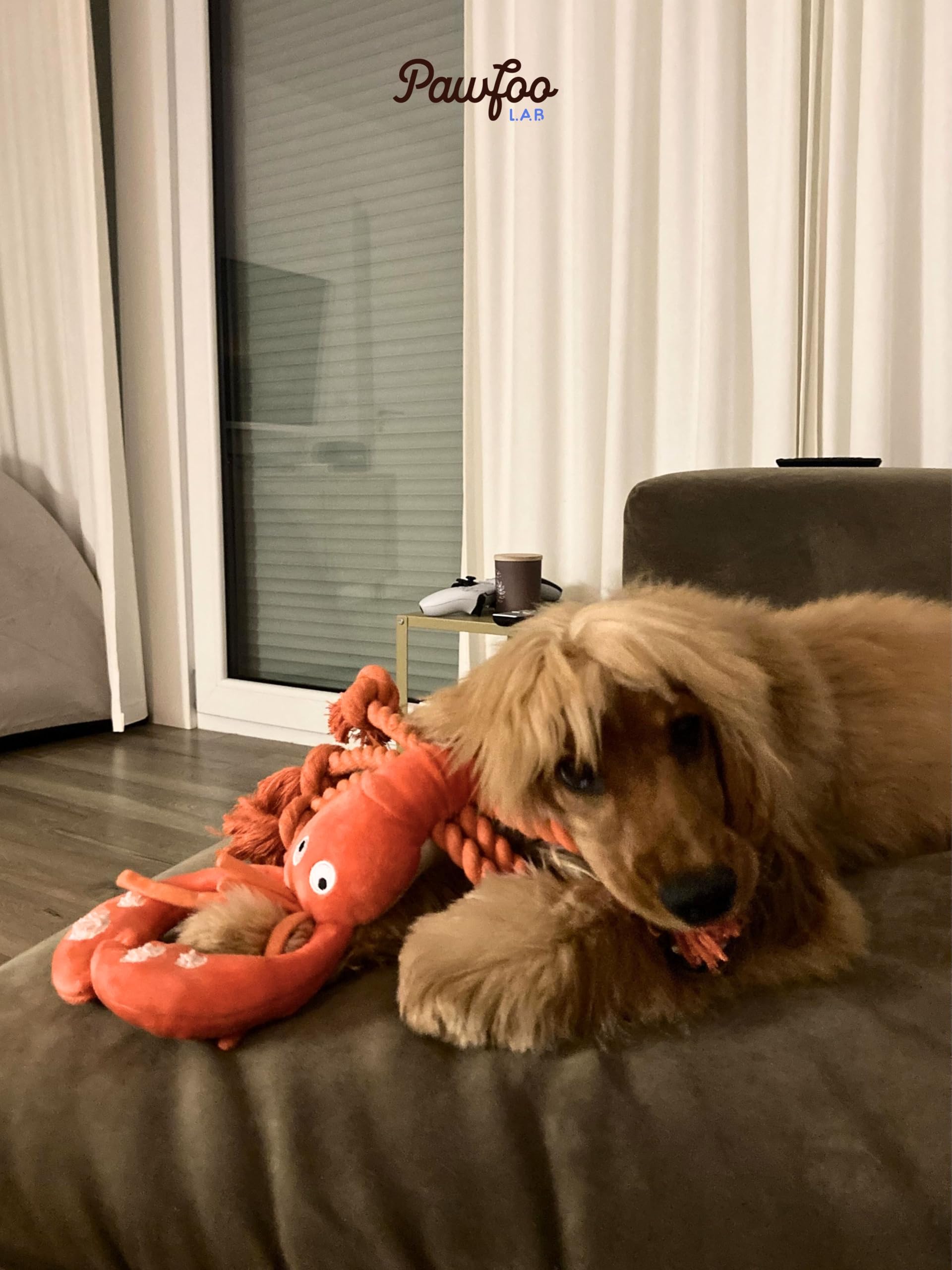 Pawfoo Lab Lobster Dog Toy ocean-theme plush designed for supervised playtime