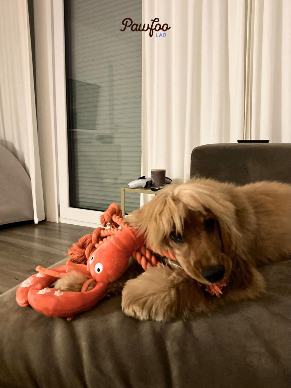 Pawfoo Lab Lobster Dog Toy ocean-theme plush designed for supervised playtime