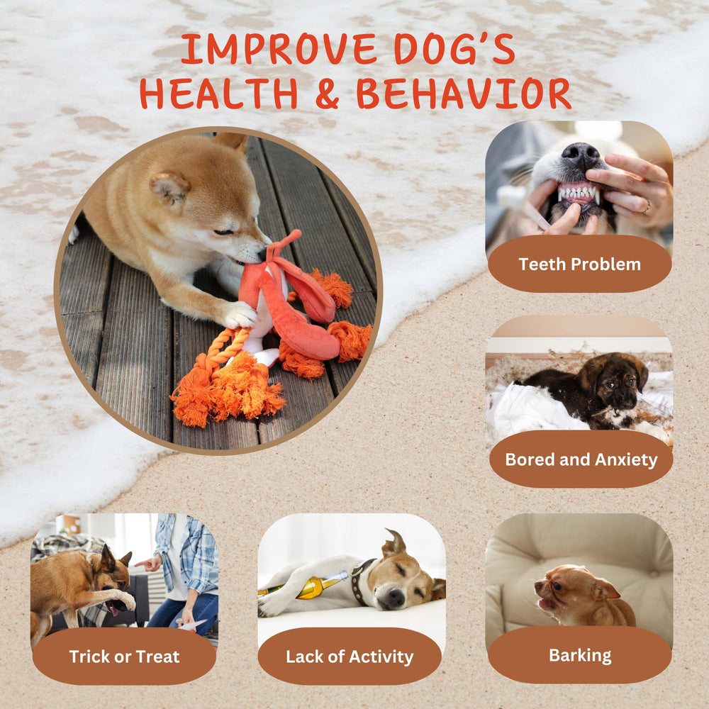 Pawfoo Lab Lobster Dog Toy teeth-cleaning texture encourages active chewing