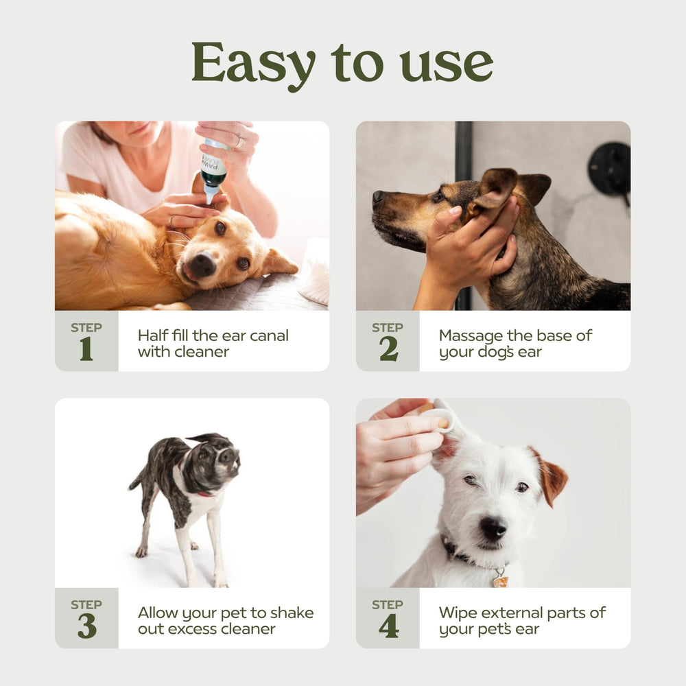 Pawfume grooming session shows gentle use with a calm dog