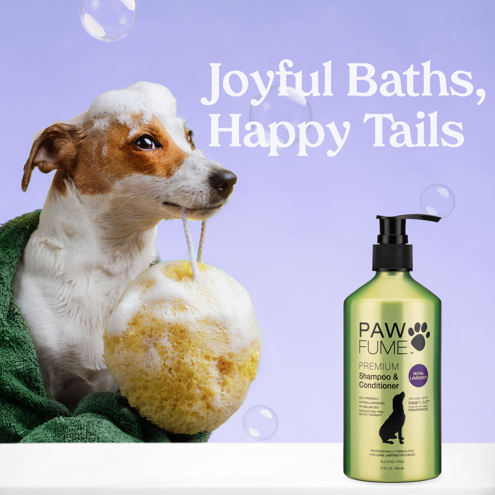 PAWFUME Royal Lavanda champú espuma: limpieza suave y conveniente durante el baño.