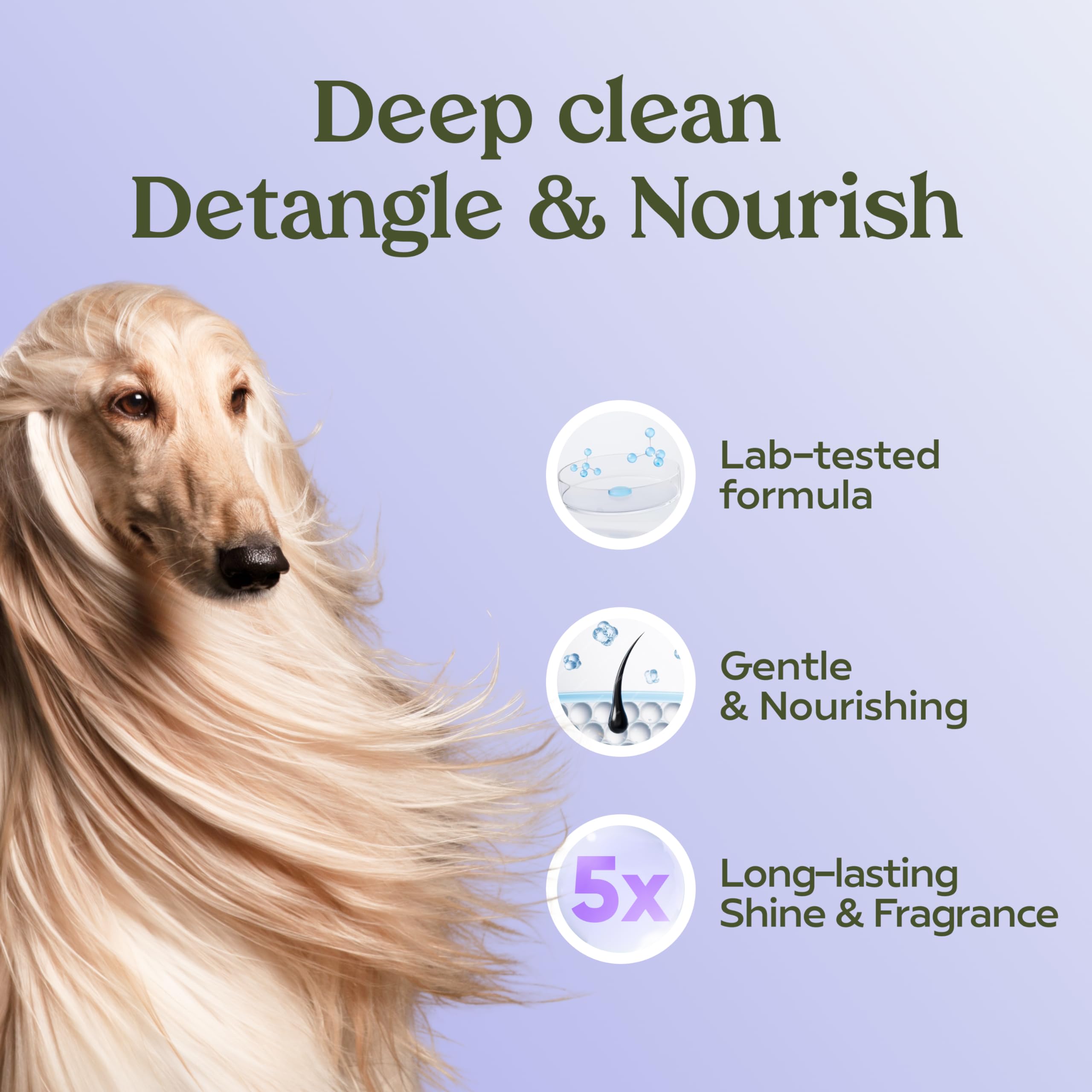 PAWFUME Royal Lavanda lavado pH balanceado: limpia sin resecar y mantiene humedad.