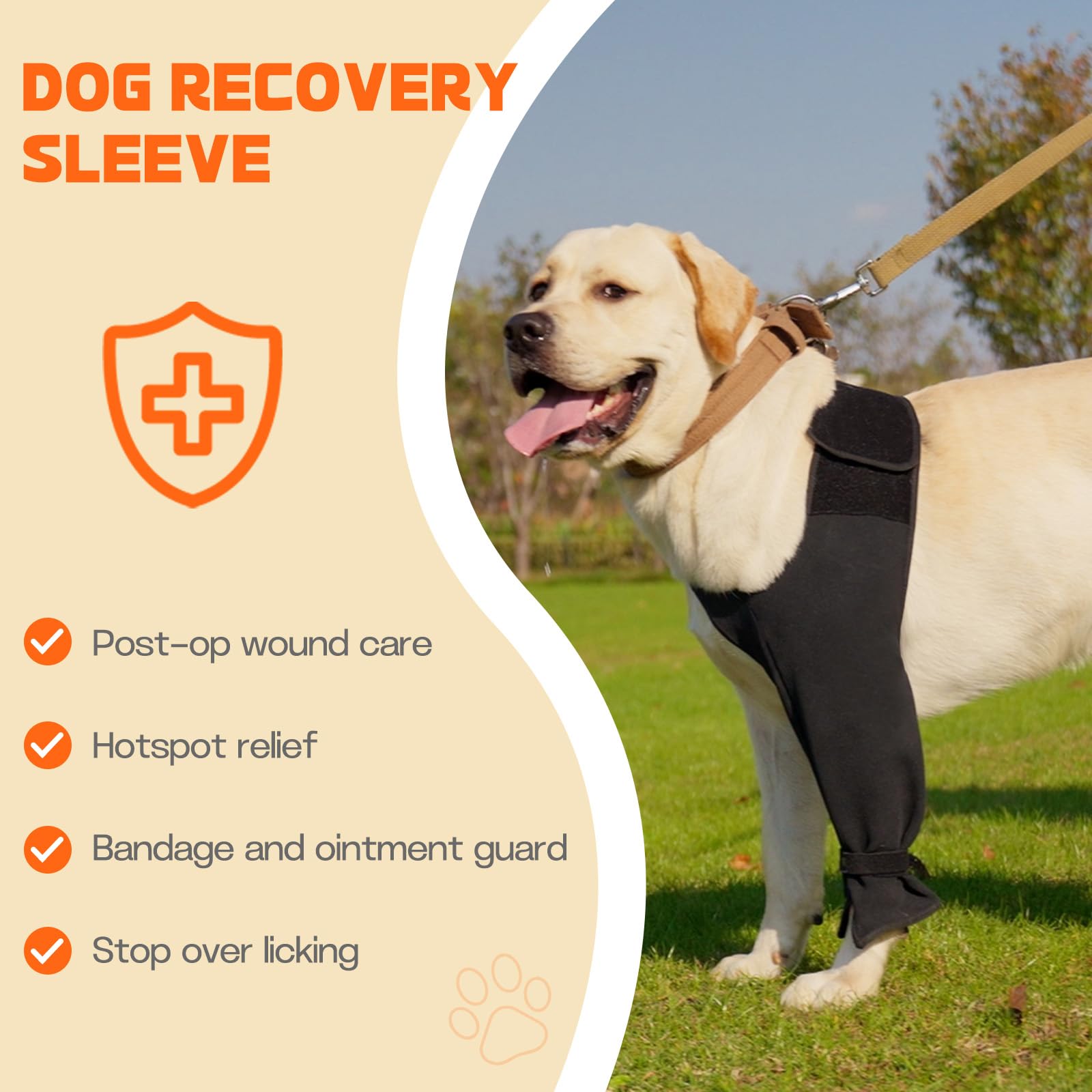 Pawfun adjustable velcro strap demonstrates secure fit for healing