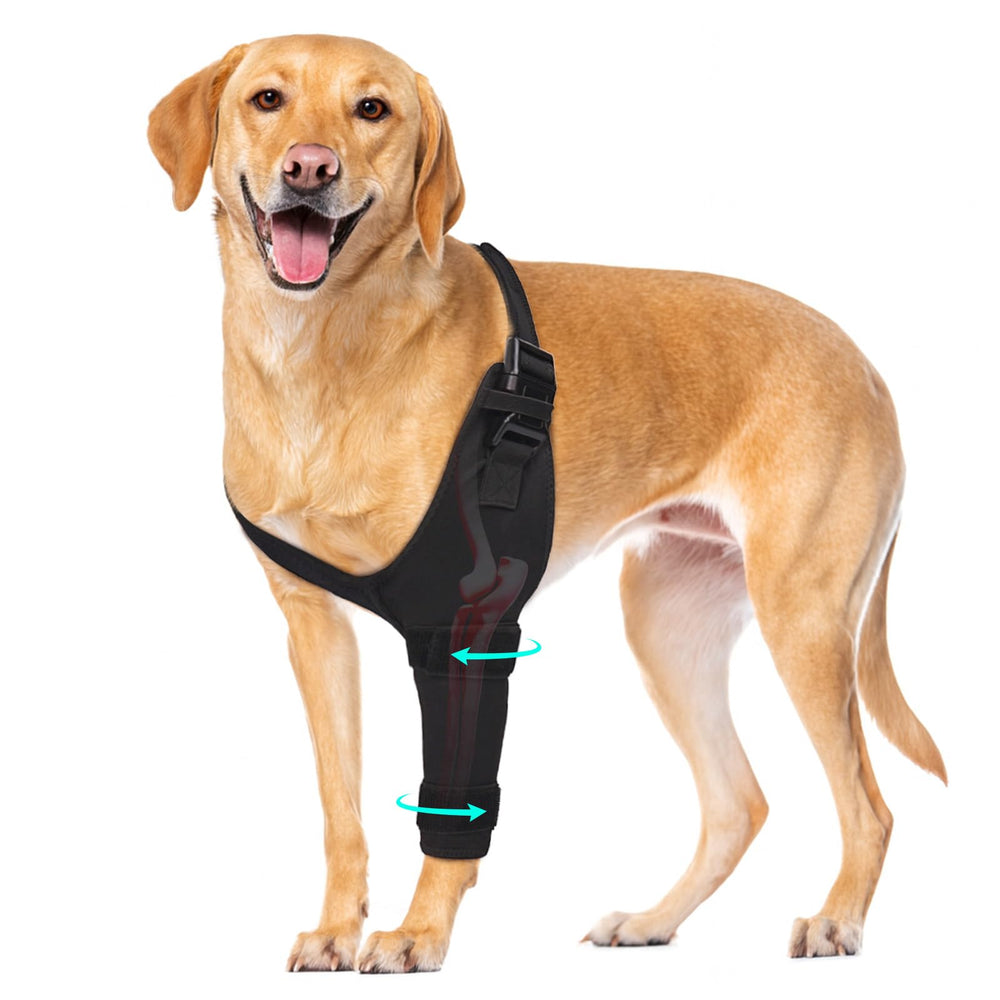 Pawfun dog elbow brace full wrap demonstrates full-coverage support for daily mobility.