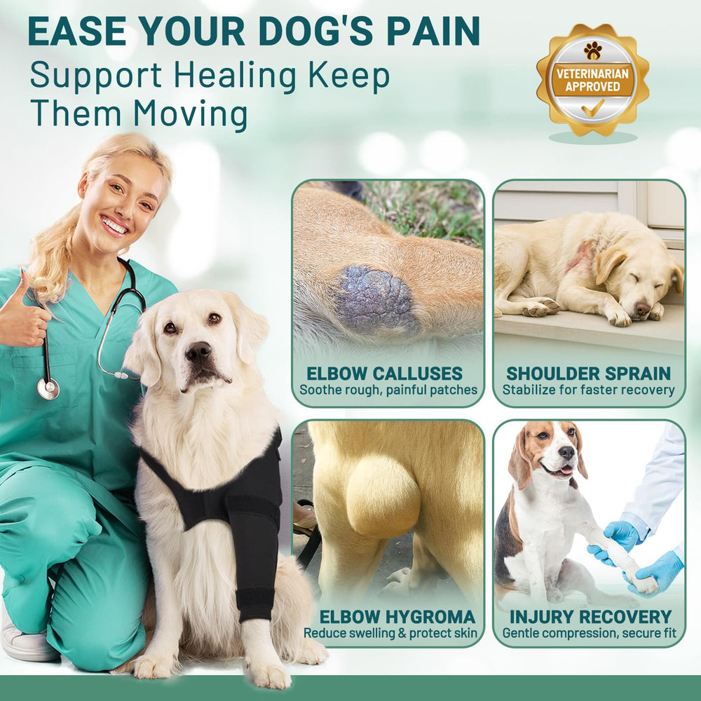 Pawfun dog elbow pad protection prevents abrasions on floors and grass during activity.