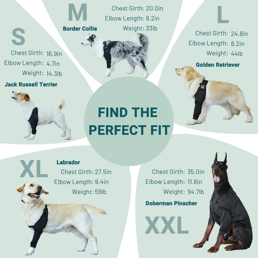 Pawfun durable washable design stands up to daily use and repeated cleaning.