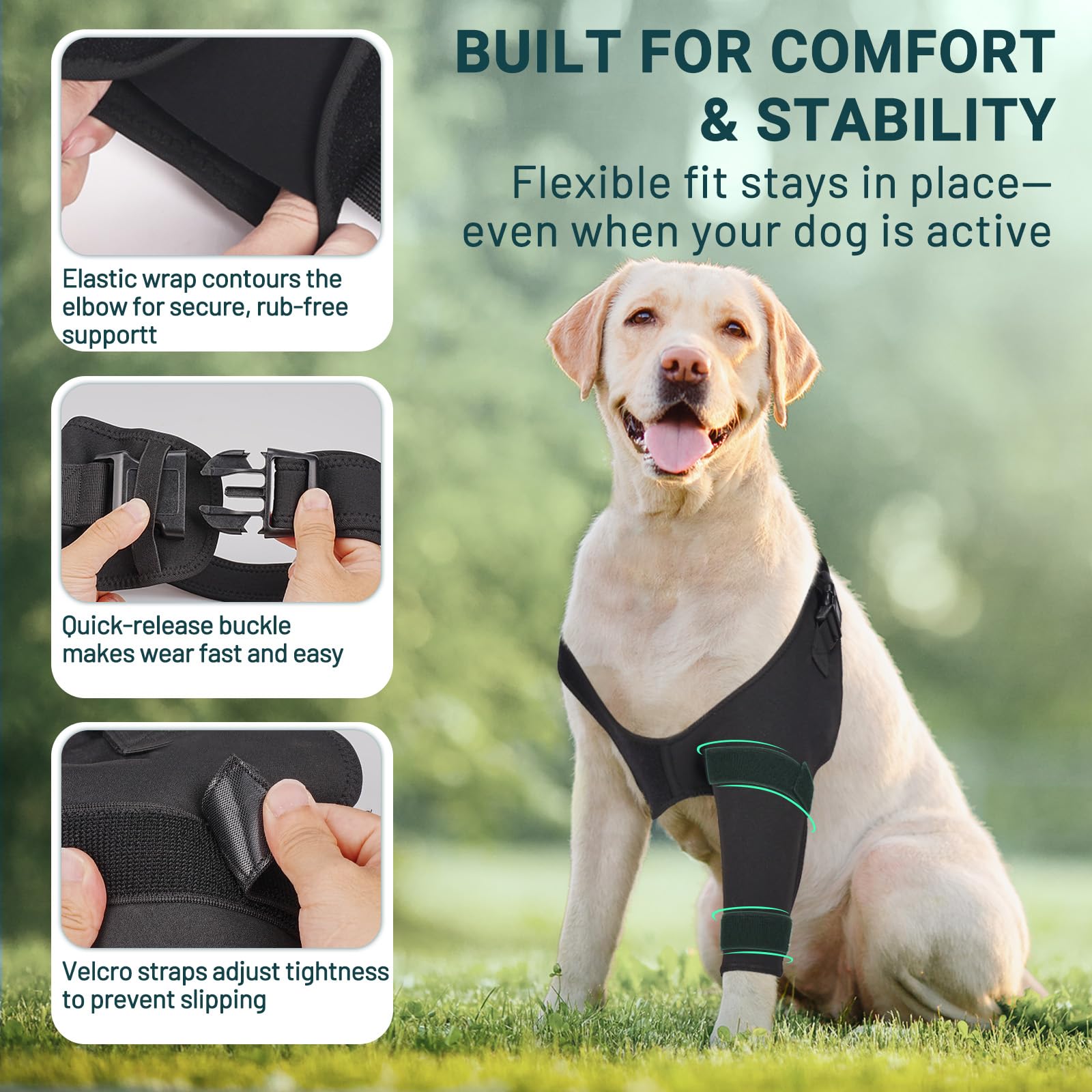 Pawfun post-surgery care support aids gentle rehabilitation and gradual movement.