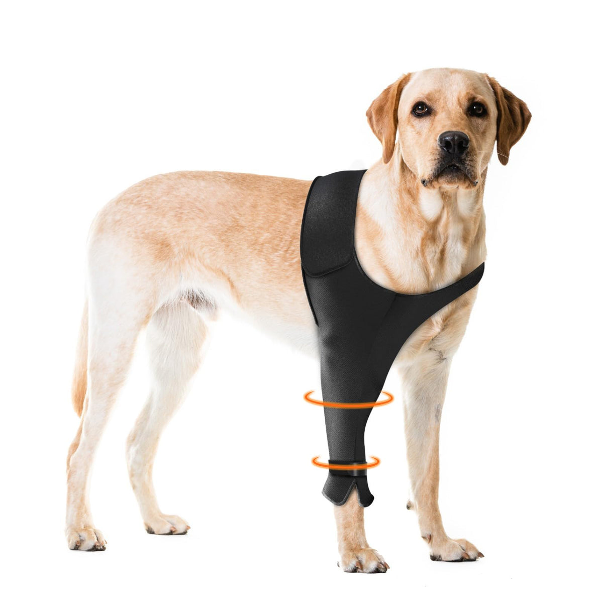 Pawfun front leg sleeve right-fit contours for secure healing during recovery