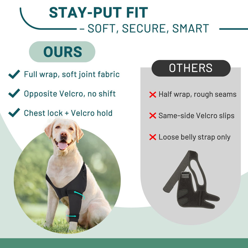Pawfun lick-prevention sleeve shields wounds, reducing stress for calmer rest.