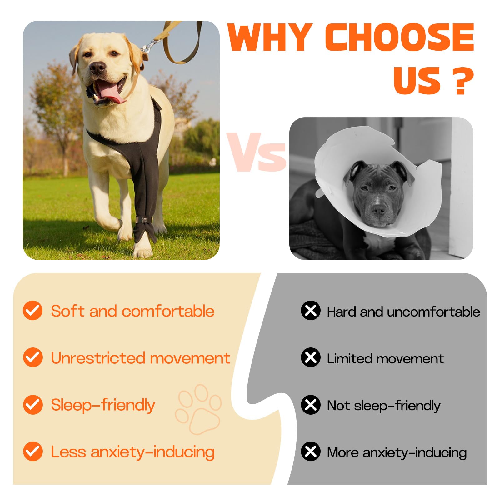 Pawfun recovery sleeve worn on dog showing secure protection during activities