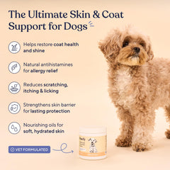 Pawfy Allergy Chews packaging supports allergy relief and dog comfort