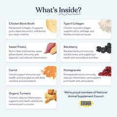 Pawfy bone broth stir-into-wet-food demonstrates easy enrichment for busy owners.
