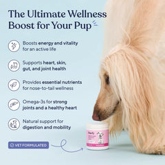 Pawfy 15-in-1 chews shown for easy feeding and coat health
