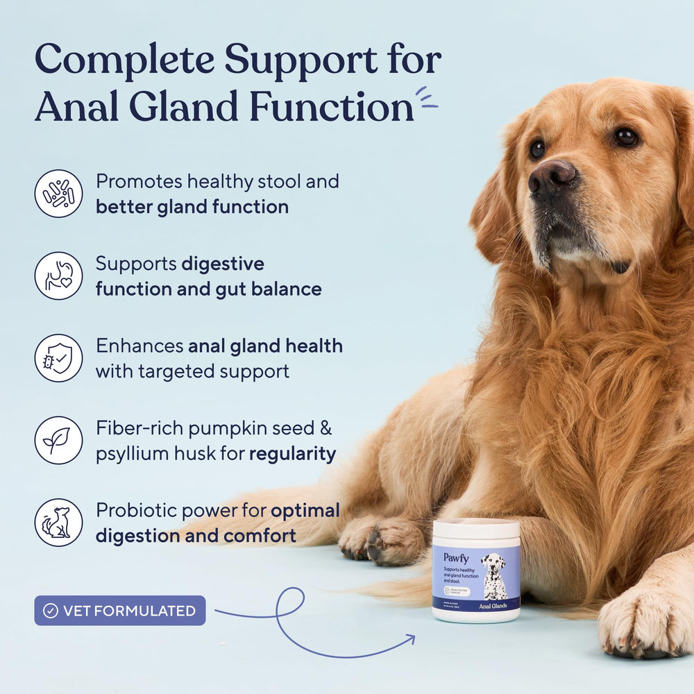 Pawfy dog probiotics bottle highlights digestive health benefits for dogs
